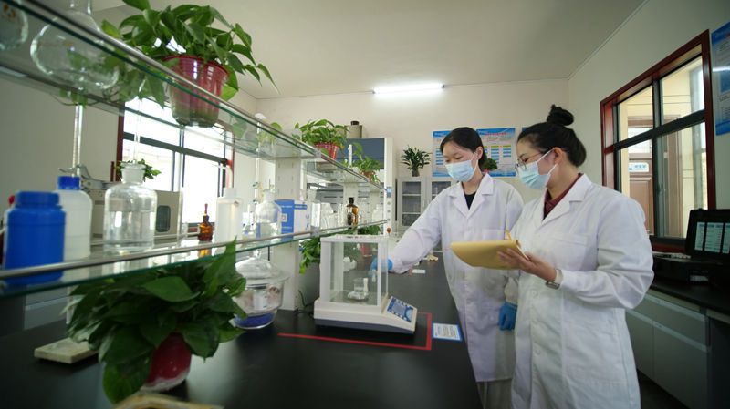 研發(fā)展示